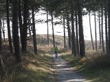Pannenkoekenmolenloop 2016 - 79.jpg